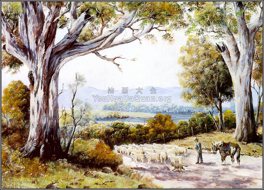 Australian Bush - 乔治·菲利普斯